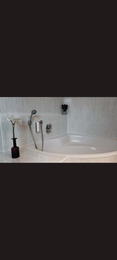 Self Checkin Hotel Heckenrose Lorin リングスハイム エクステリア 写真